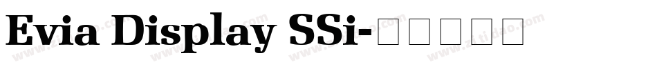 Evia Display SSi字体转换